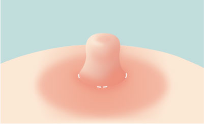 콘텐츠이미지