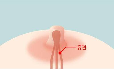콘텐츠이미지